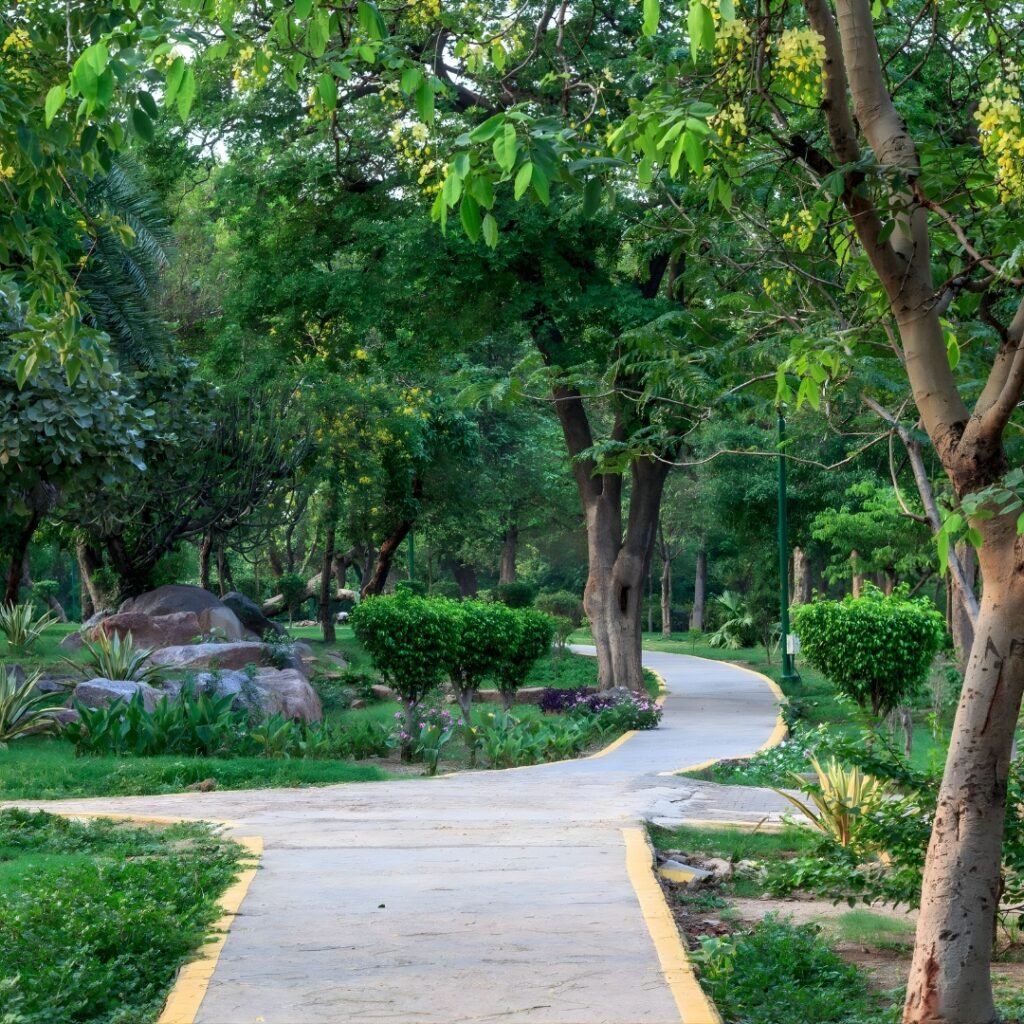 untitled design (54)